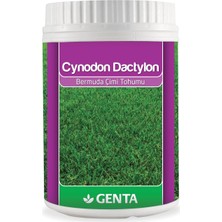 Braventa Collection Cynodon Dactylon Bermuda Çim Tohumu 500 gr