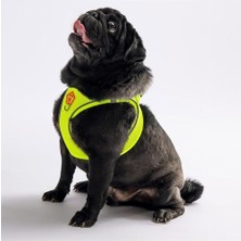 Braventa Collection Pawstar Neon Sarı Air-Mesh Göğüs Tasması Kedi Köpek Göğüs Tasması Neon Sarı M