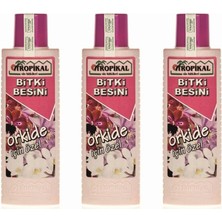 Braventa Collection Orkide Besini x 3 Adet