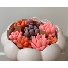 Violet Candle Decor Sukulent Aranjman Saksıda Kokulu Mum