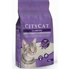 Braventa Collection City Lavanta Kokulu Kedi Kumu 10 Lt