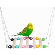 Braventa Collection X-Perk Kuş Salıncağı Kuş Hamak Kuş Tüneği Genişlik 10X10 cm Zincirli