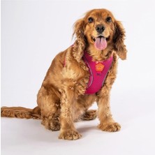 Braventa Collection Pawstar Fuşya Air-Mesh Göğüs Tasması Kedi Köpek Göğüs Tasması Fuşya 2xs