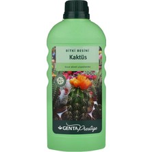 Braventa Collection Kaktüsler Için Sıvı Bitki Besini Gübre 500 ml