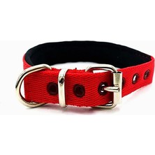 Braventa Collection Mizgin Küçük Irk ve Yavru Yumuşak Dokulu Köpek Tasması (Kırmızı)