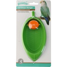 Braventa Collection Kuş Banyosu