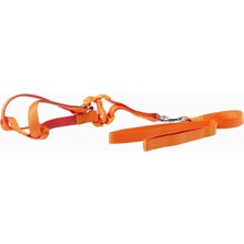 Braventa Collection Euro Dog Köpek Uzatma Tasması+Göğüs Tasması 25MM 120CM Turuncu