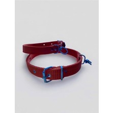 Braventa Collection Büyük Boy Köpek Tasması Turuncu 60 cm