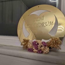 Sabrina Organizasyon Pleksi Kapısüsü