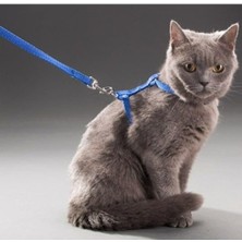 Braventa Collection Orret Home 110 cm Vücuda Takılan Kedi Tasması, Konforlu ve Ayarlanabilir Tasarım, Güvenli Yürüyüşler