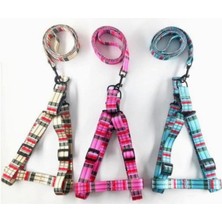 Braventa Collection Ayarlanabilir Göğüs Tasma Seti Kırmızı L 2.0X120 cm