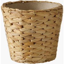 Braventa Collection Frıdfull 12 cm Hasır Saksı Doğal Sü Sümbülü