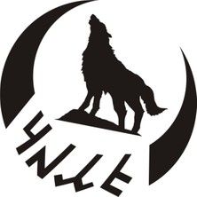 Mlh Store Göktürkçe Türk Yazılı Bozkurt ve Hilal Oto Özel Yeni Sticker Siyah 25*25 cm