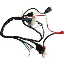 OEM Cg Elektrik Tesisatı 5 Fişli