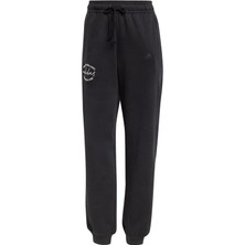 Adidas W Bluv Q3 Pt IY1474 Siyah Eşofman Altı