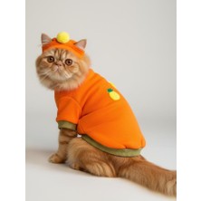 Kemique Pineapple And Ice Cream Turuncu Haki Kedi Polar Sweatshirt ve Bere Takım Kedi Kıyafeti