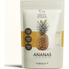 Dizzy Foods Dondurularak Kurutulmuş Meyve Ananas 20 gr