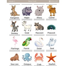 Miray Craft 1 Sayfa Çıkartmalarla Ingilizce Keşfi – Hayvanlar Temalı Eğitici Sticker Sayfası (12×17 Cm)