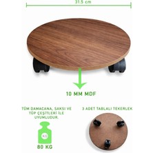 Arkitekt Ex Mdf Tekerlekli Damacana, Saksı ve Tüp Taşıma Aparatı – 31,5 Cm, 80 kg Kapasiteli Stand