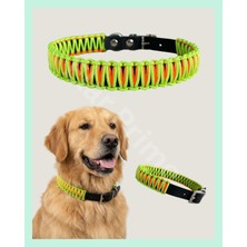 Elar Aksesuar El Yapımı Paracord & Deri Köpek Boyun Tasması – Örgü Urban 11