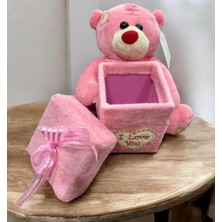 Sedosh Home Vision Peluş Ayıcıklı Dekoratif Hediye Kutusu