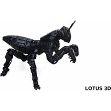 Lotus 3D Çekirge Oyuncak Figür