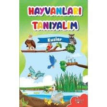 Baloncuk Kitap Muhteşem Çizimler ve Kolay Anlatım ile Hayvanları Tanıyalım Kuşlar