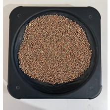 Burçak Yem 1 kg  ( Güvercin, Tavuk Vs. Yemi )