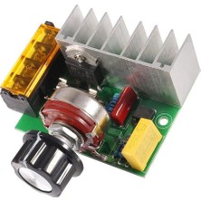 China 4000W 220V Ac Voltaj Regülatörü Dimmer
