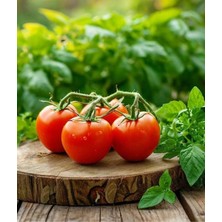 Yerli Domates Tohumu Salkım Kırmızı 20 Adet Tohum