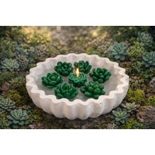 Rosealya Green Lotus-El Yapımı Sukulent Mum | Dekoratif Kase