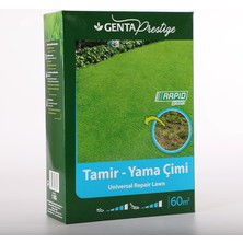 Hype Store Tamir Yama Çim Tohumu 1 kg