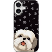 Lelia iPhone 17 Uyumlu Baskılı Şeffaf Telefon Kılıfı | Koleksiyon: Pawprint Stories