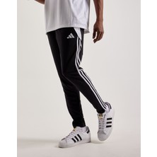 Adidas Predt Eşofman Altı