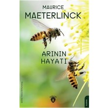 Dorlion Yayınları Arının Hayatı