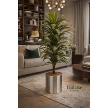 Elit Organizasyon & Tasarım Elitluxe Design 160 cm Yapay Dracaena Ağacı – Saksılı, Gerçekçi Dekoratif Bitki