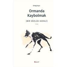 Alef Yayınevi Ormanda Kaybolmak