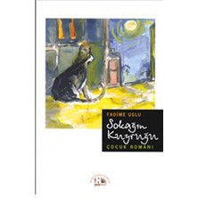 Nesin Yayınları Sokağın Kuyruğu