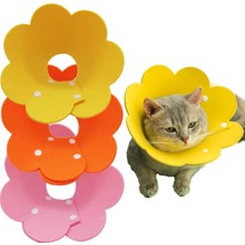 Evcil Hayvan Xl Boy Keçe Elizabeth Yakalığı