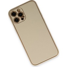 Olinea Newface Iphone 12 Kılıf Coco Deri Silikon Kapak - Gold