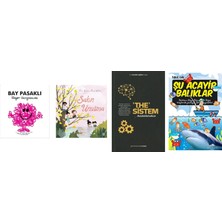 Doğan Egmont Yayıncılık Bay Pasaklı... +3 Eğitim Kitabı