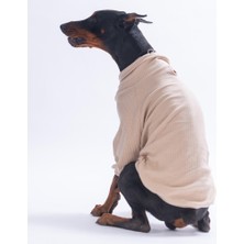 Pawstar Bej Teddywood Orta-Büyük Irk Için Ayıcık Nakışlı Esnek Sıcak Tutan Köpek Sweati Köpek Kıyafeti