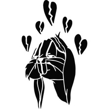 Airbrush Tattoo Aşık Tavşan Yapışkanlı Stencil Süsleme ve Boyama Kalıbı