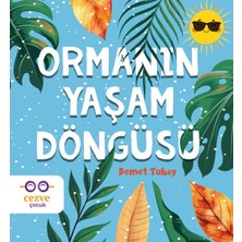 Cezve Çocuk Ormanın Yaşam Döngüsü