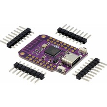 Voltaj ESP32 S2 Mini V1.0 Wifi Geliştirme Kartı