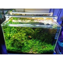 Hype Store Orionled Akvaryum Plastik LED Aydınlatma Beyaz 30CM 6500K