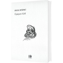 Pikaresk Yayınevi Üşüyen Göl