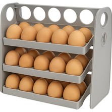 Hepta Collection Suwors Buzdolabı Yumurta Organizeri – 30 Hazneli, Katlanır Raflı, Yaylı Mekanizma & Tarih Kayıt Fonk