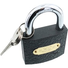 Tek-İş Asma Kilit 50 mm