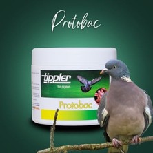 Tippler Protobac (Güvercin Yem Protein Takviyesi)